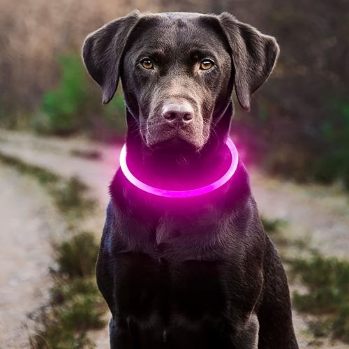 Áll0tható LED kutyanyakörv #Világos Rózsaszín - L
