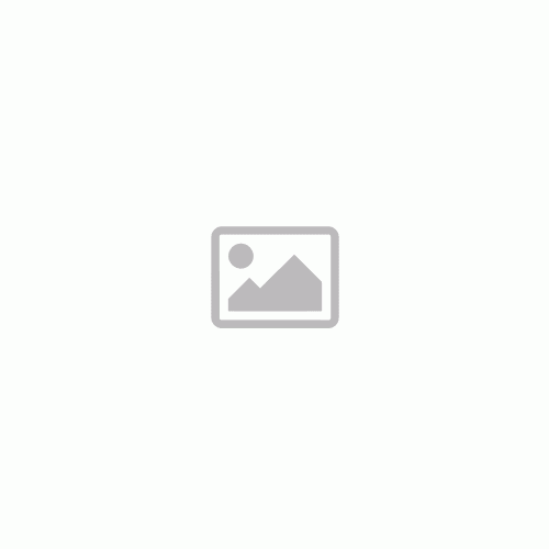 Mini Függőleges és Vízszintes Gőzölős Vasaló 2 az 1-ben 800 W, VELYRON, Home Houseware